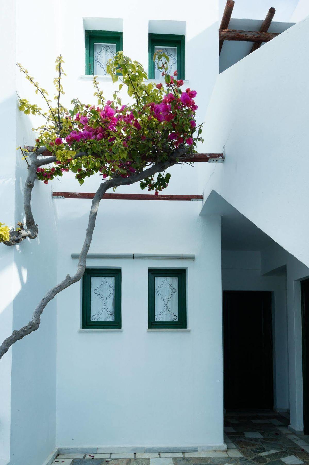 Mr & Mrs White Tinos Hotell Exteriör bild